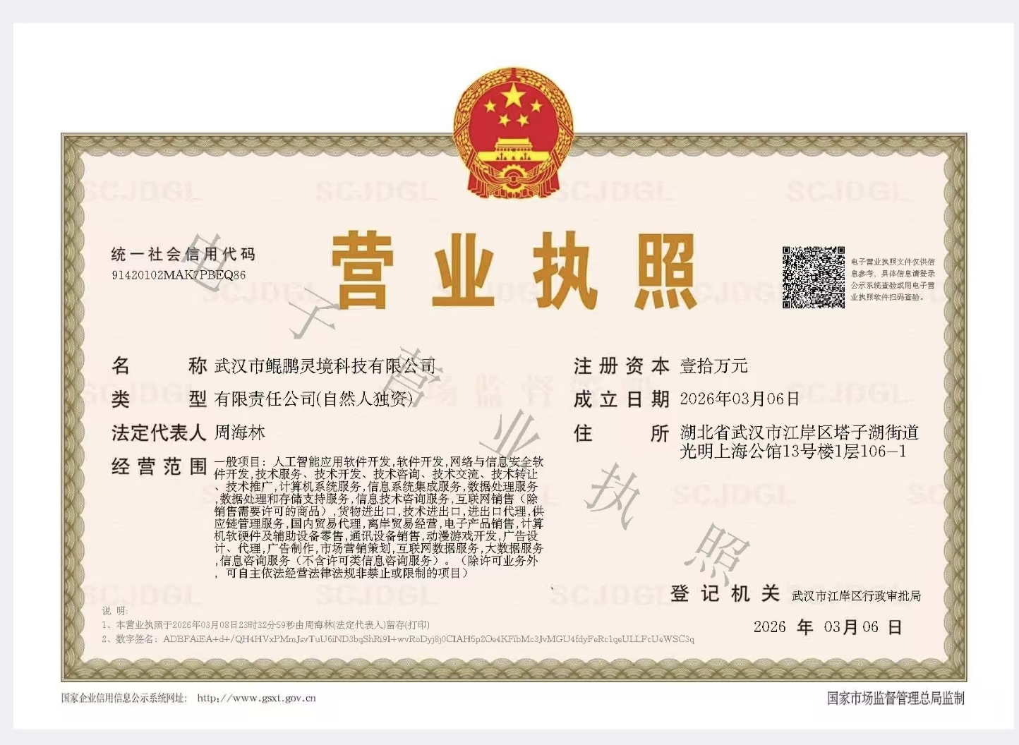 武汉市鲲鹏灵境科技有限公司 营业执照